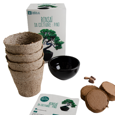 SET - Bonsai Pinus & Hnojivo na bonsaje s probiotiky