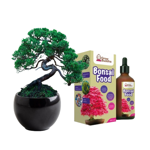SET - Bonsai Pinus & Hnojivo na bonsaje s probiotiky