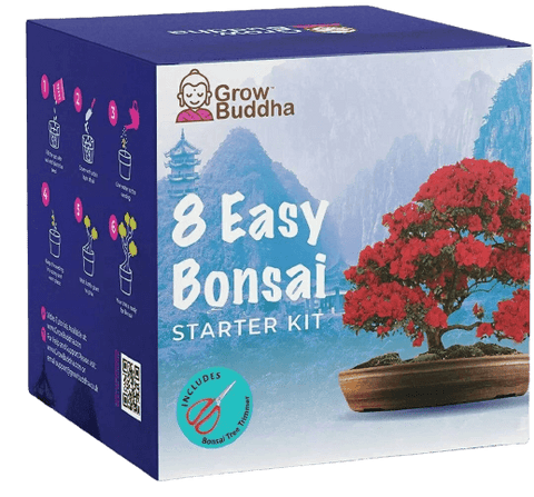 SET - Bonsai Easy, pěstování 8 druhů rostlin + nůžky