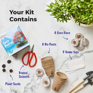 SET - Bonsai Easy, pěstování 8 druhů rostlin + nůžky