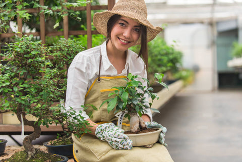 BONSAI