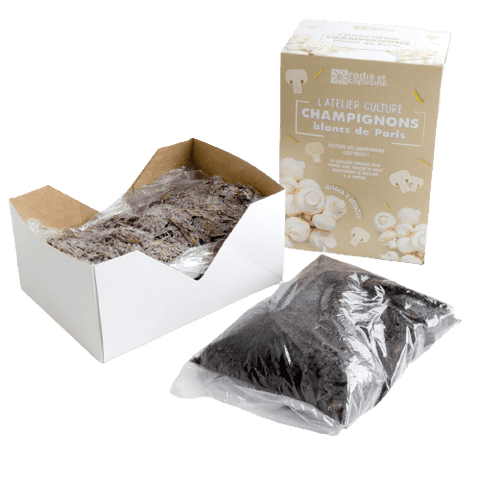 SET - Pěstování hub, bílé žampiony Paris, 1 kg 