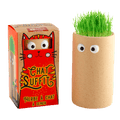 SET - Semínka pro kočky + terakotový květináč 