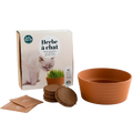 SET - Pěstování catnipu