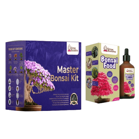SET - Bonsai Master &amp; Fertilizer pro bonsaje s probiotiky 