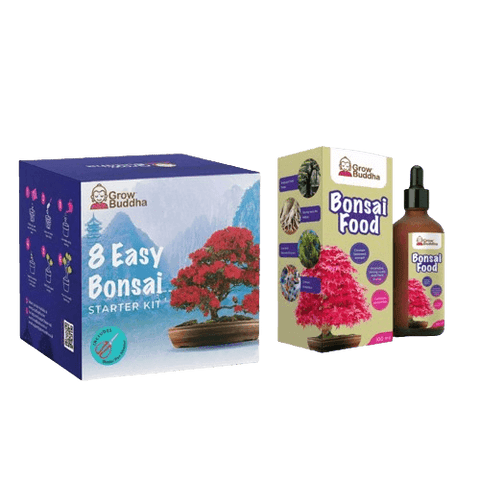 SET - Bonsai Easy &amp; Fertilizer pro bonsaje s probiotiky 