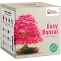SET - Bonsai, pěstování 4 druhů rostlin + 2 semínka zdarma 
