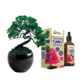 SET - Bonsai Pinus &amp; Hnojivo na bonsaje s probiotiky 