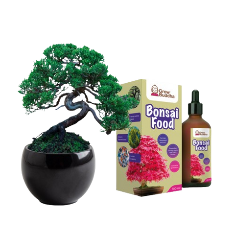 SET - Bonsai Pinus &amp; Hnojivo na bonsaje s probiotiky 