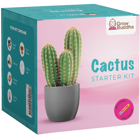 SET - Kaktus, pěstování 15 různých druhů kaktusů 