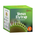 SET - Mucholapka Venus, pro začátečníky