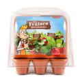SET - Mini skleník na pěstování jahod, pro děti 