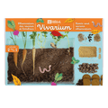 SET - Terárium na pozorování kořínků a žížal, pro děti 