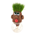 SET - Fantasy grass head Mr. Zelená, pro děti a začátečníky