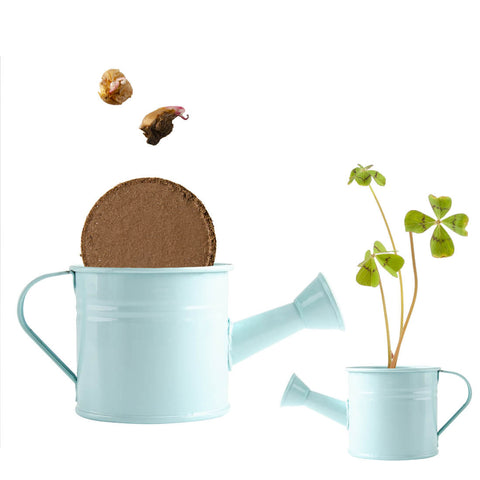 SET - Mini kyblík s arašídy a semínky čtyřlístku 