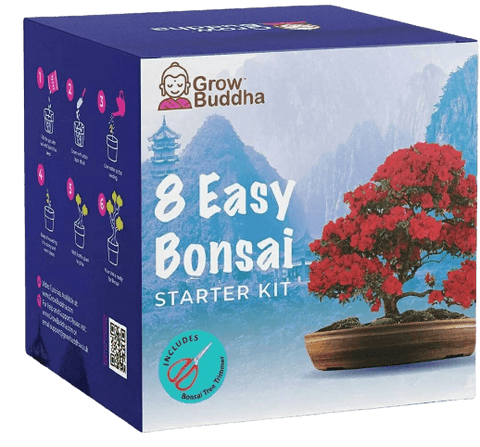 SET - Bonsai Easy, pěstování 8 druhů rostlin + nůžky 