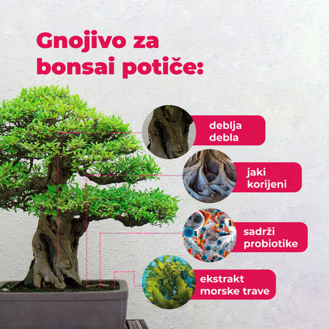 Hnojivo s probiotiky pro bonsaje, 100 ml