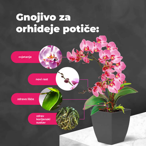 Hnojivo s probiotiky pro orchideje, 100 ml 